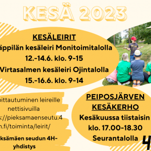 4H-kesäleiri Jäppilässä