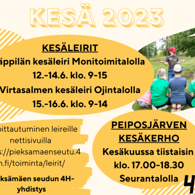 4H-kesäleiri Jäppilässä