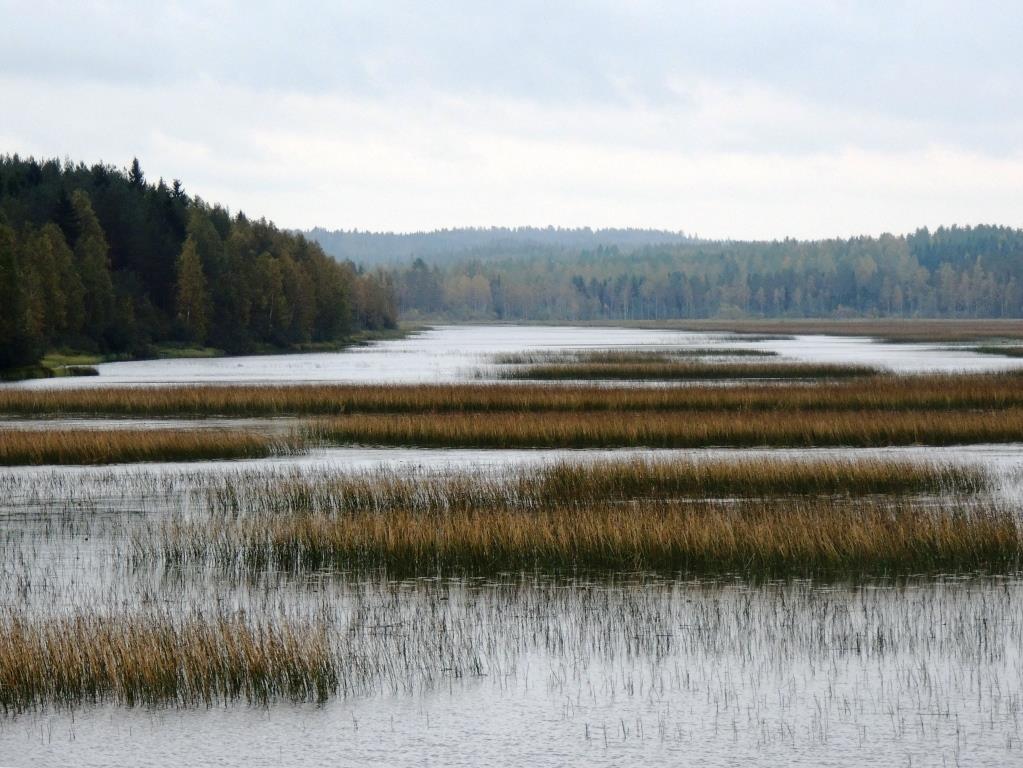 Luonto- ja retkeilykohde Jäppilässä