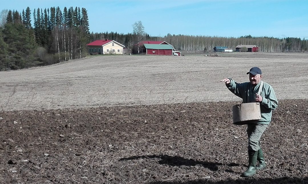 Toukosiunaus Jäppilässä