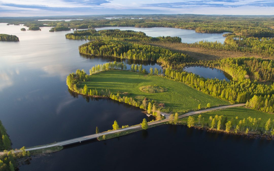 Jäppilä ja Jäppilän kesä