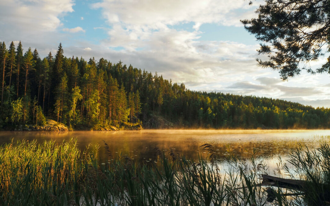 Maaseutuelämä on omannäköistä