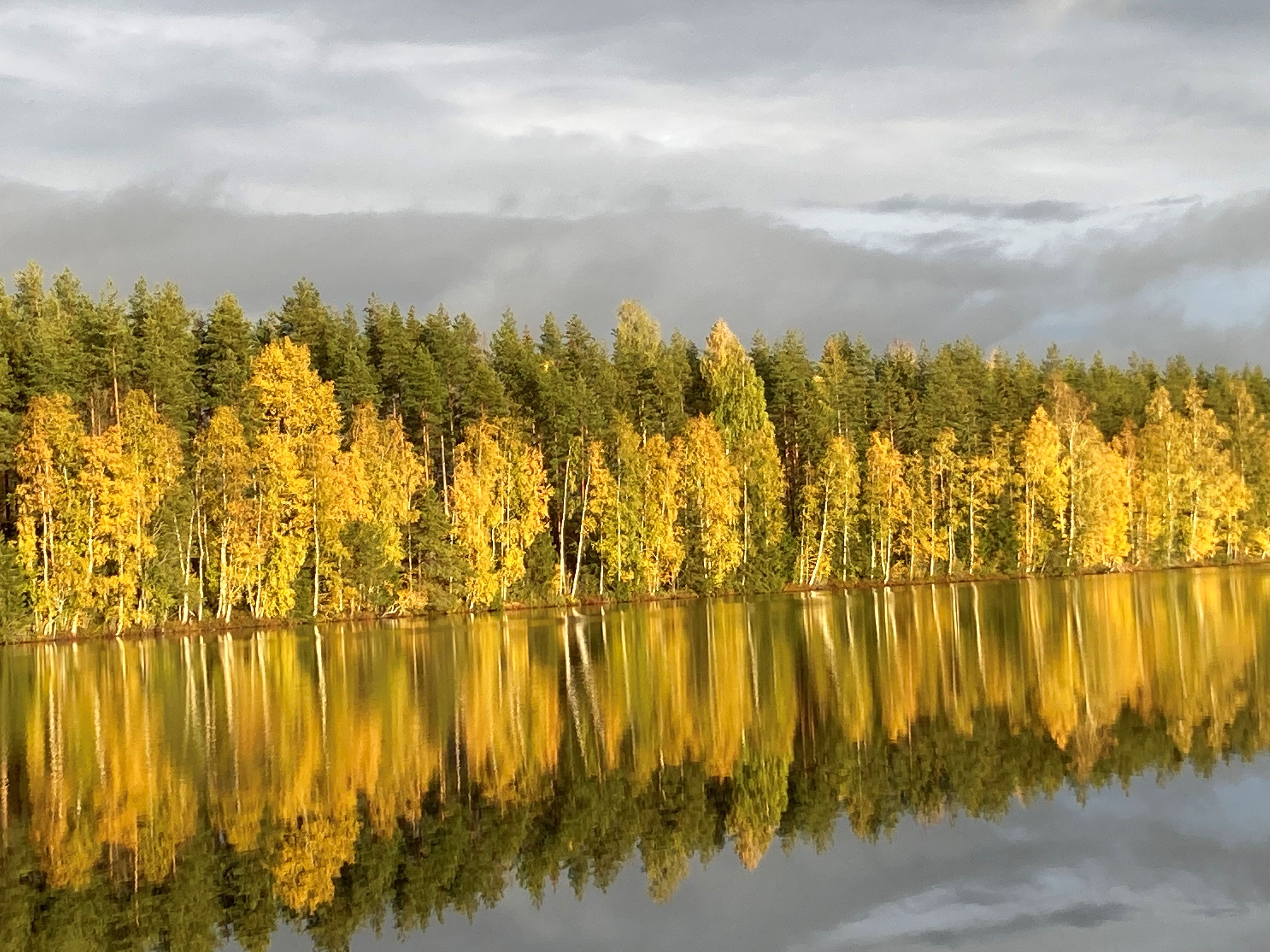 Mökkeilyä Jäppilässä 