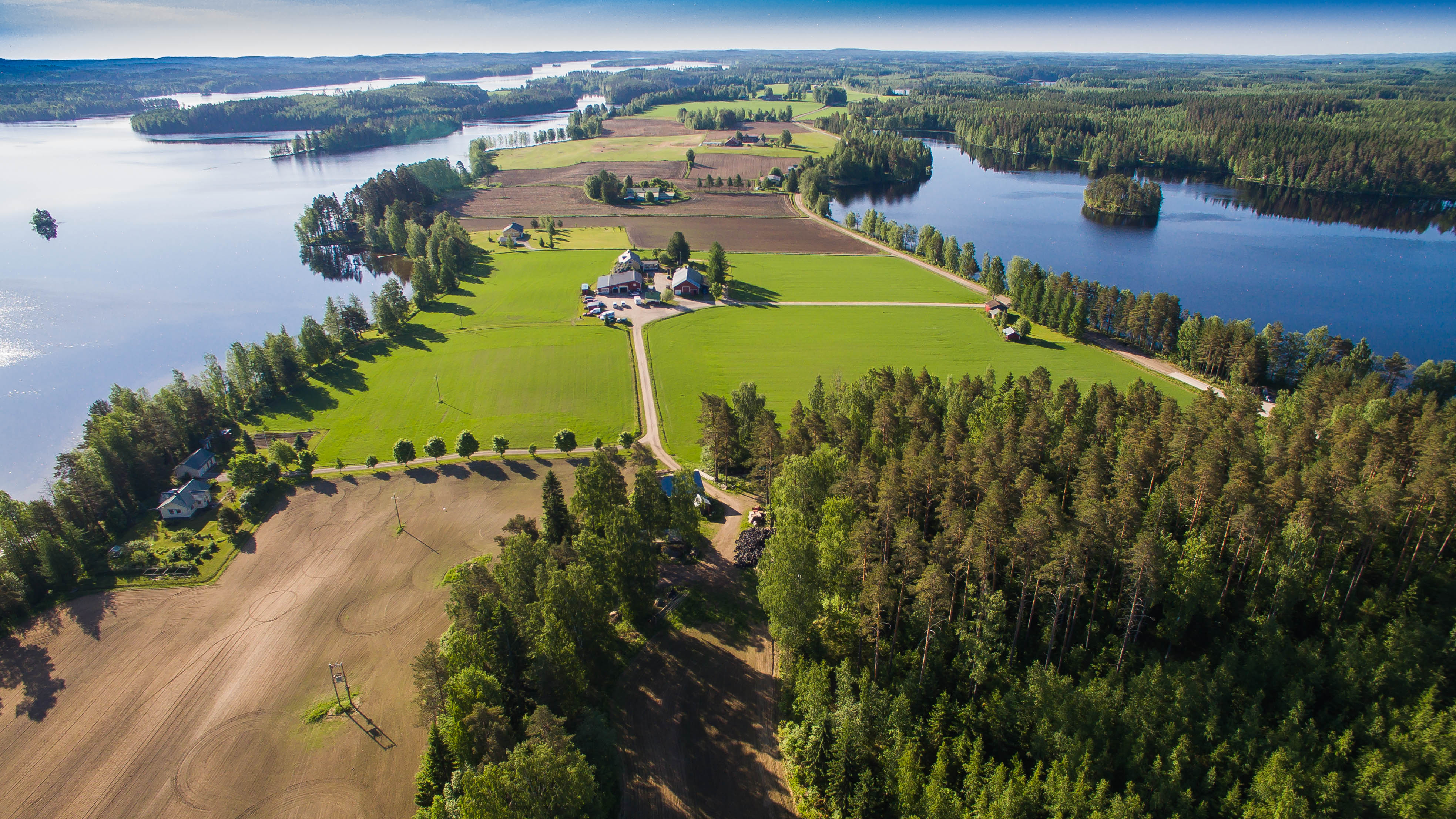 Etsintäkuulutus: rauhallinen koti maalta