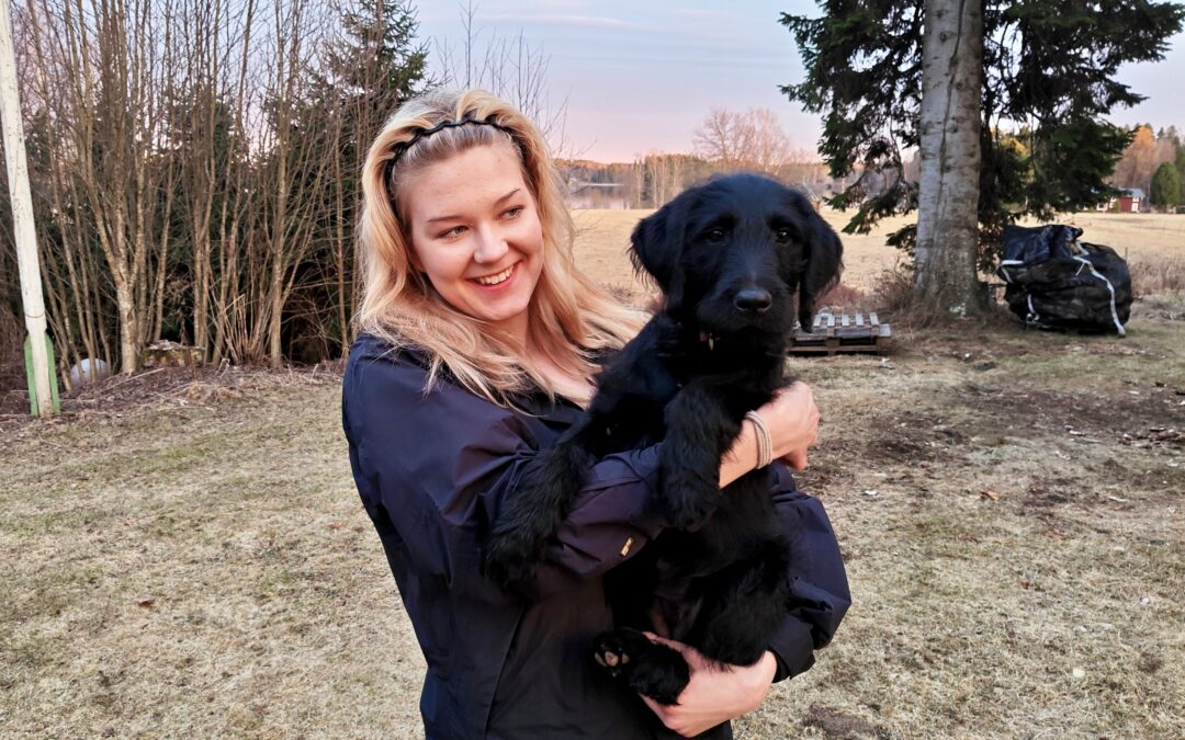 4H-kerhosta oppia ja eväitä elämään